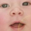 Anchy
